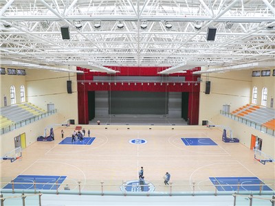 室內(nèi)球場